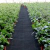 6.5FTx300FT Premium Weed Barrier Fabric Heavy Duty 3.2OZ - Image 7